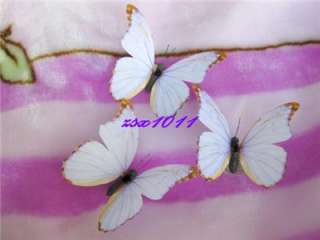 6pc white Butterfly for Wedding/Home Decoration 11cm  