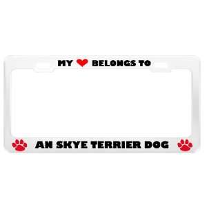 An Skye Terrier Dog Pet White Metal License Plate Frame 
