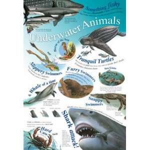 Laminated Underwater Animals Educational Chart Poster 