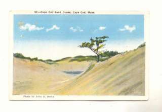 Cape Cod Sand Dunes, Cape Cod, Massachusetts Postcard  