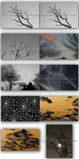 HALLOWEEN, THANKSGIVING AND CHRISTMAS DIGITAL BACKGROUND PACKAGE 80 