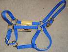 Billy Cook Sulphur Ok items in Patricias Horse Tack 