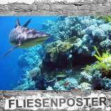 Fliesenposter  HAI  Fliesendekor Aufkleber Fotofolie Fliesen Bilder