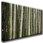 Leinwand Bild Abstrakt Bambus Wald Grün Ruhe Deko Warm