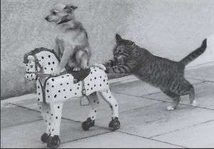 Postkarte Hund und Katze und ein Schaukelpferd  