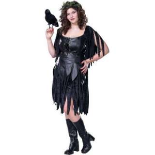 Adult Plus Size Evil Fairy Costume   Here comes the evil fairy god 