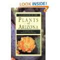  Sonoran Desert Food Plants Edible Uses for the Deserts 