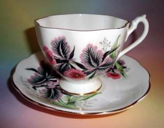 Stunning Black Orchids Queen Anne Tea Cup and Saucer Set  