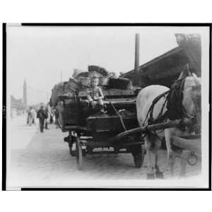  Photo Boy driving horse drawn wagon loaded with baskets 