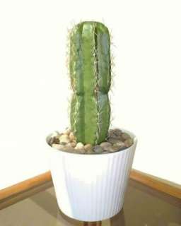 Saguaro Cactus   10 (26cm) Artificial Succulent Plant  