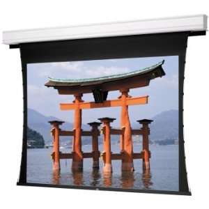   Electric Screen with High Contrast Audio Vision Fabric Electronics