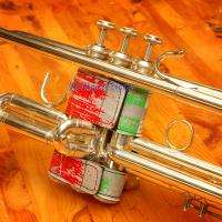 Cool Mexican Flag Trumpet Valve Guard SHIPS FREE  