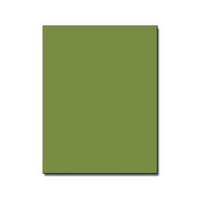  Bazzill Cardstock 8.5x 11 Smoothie Palm Leaf 25pc (25 