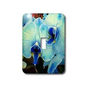 Florene Flowers   Blue Orchids   Light Switch Covers   single toggle 