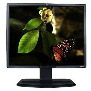  19 HP L1955 DVI 720p Rotating LCD Monitor w/USB Hub 