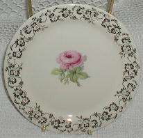 This auction is a beautful pattern of dinnerware.
