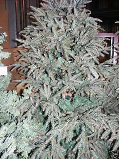 Frontgate Frasier Fir 9 Christmas Tree