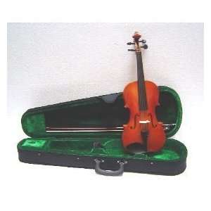   Violin with Case + Bow + Accessories   Natural Color Toys & Games