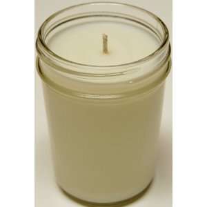  3 Pack   8oz Jelly Jar Candles   Coconut 