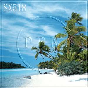 10x10 FT CP (COMPUTER PRINTED) PHOTO SCENIC BACKGROUND BACKDROP Sx518 