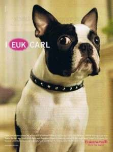 2007 Eukanuba Dog Food I Euk Carl Magazine Ad  