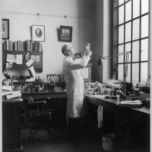  Sir Alexander Fleming   Scottish Bacteriologist at Work in 