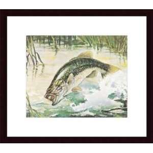     Black Bass   Artist William J. Schaldach  Poster Size 13 X 16