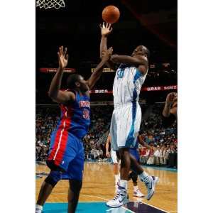 Detroit Pistons v New Orleans Hornets Emeka Okafor and Jason Maxiell 