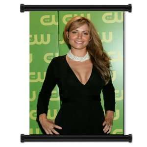  Erica Durance Sexy Fabric Wall Scroll Poster (16 x 24 