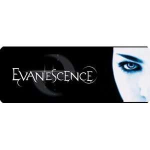  EVANESCENCE EYE STICKER