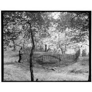  Old wine press,John Bartram Park (Bartrams Gardens 