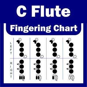 Flute Fingering Chart   A4 Guide   NEW AND EASY TO USE  