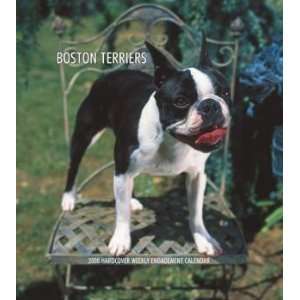   Terriers 2008 Hardcover Weekly Engagement Calendar