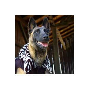   Faux Suede Dog Coat Black w/ Zebra Trim X Small