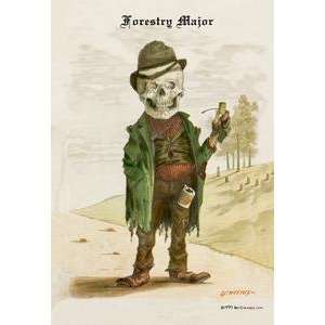  Vintage Art Forestry Major   15817 4