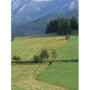  Farmland in the High Tatra Mountains Near Zdiar and Polish 