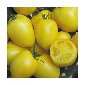  Powers Heirloom Tomato   20 Seeds   Yellow Paste Patio 