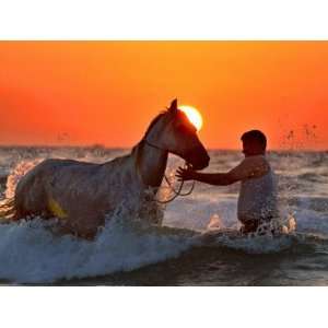 Palestinian Man Washes His Horse at Beach in Gaza City As the Sun Sets 