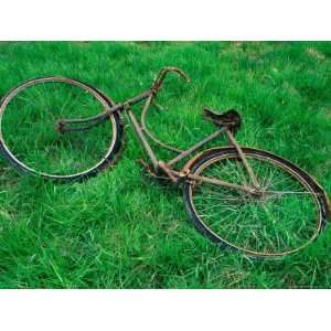  Bicycle Abandoned in a Field,County Wexford, Leinster 
