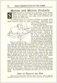 How To Cure Meats   Make Salami Sausage 1922 Book on CD  