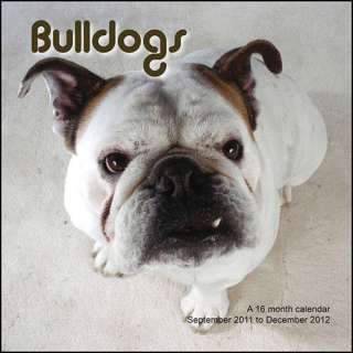 Bulldogs 2012 Wall Calendar 1617910309  