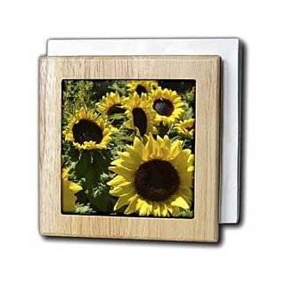  sunflower napkin holder
