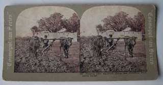 Antique COSMOPOLITAN SERIES STEREOVIEW SET Key West Fla. Cairo Egypt 