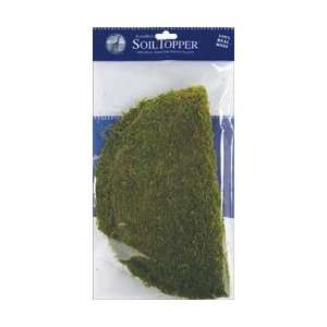  Supermoss Moss Pot Toppers 12 3/Pkg Green; 2 Items/Order 