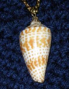 NATURAL INSCRIPTUS CONE SEASHELL EDGED IN GOLD NECKLACE  