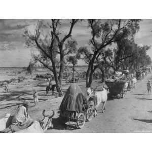 Convoy of Sikhs Migrating to East Punjab After the Division of India 