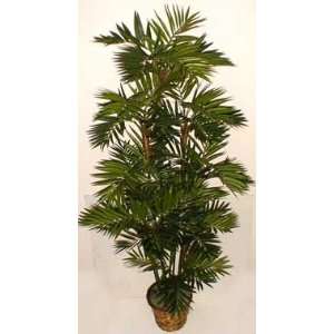 6 Silk Parlour Palm Tree