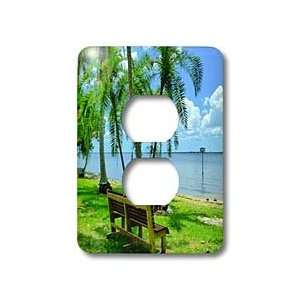     Henry Fords Riverview   Light Switch Covers   2 plug outlet cover