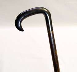Fine Antique Horn Handled Gentlemans Walking Stick Horn Tip  