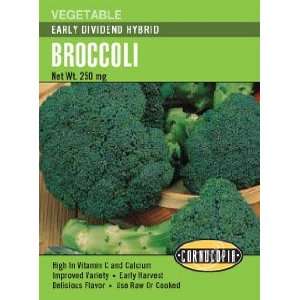  Broccoli Early Dividend Hybrid Seeds Patio, Lawn & Garden